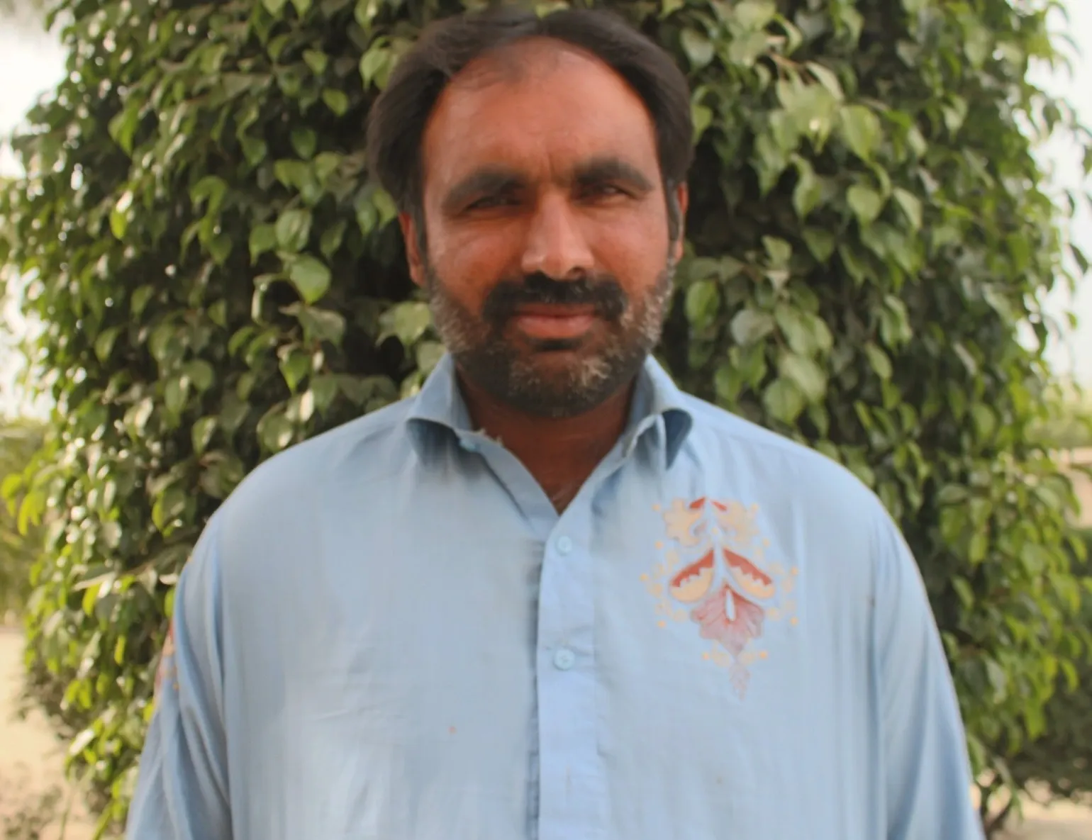 Gardener - Saif Ullah